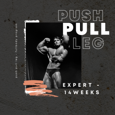 Full body: Push Pull Leg – Expert Edition 14 Weeks