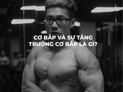 CƠ BẮP VÀ TĂNG TRƯỞNG – REAL BOOK